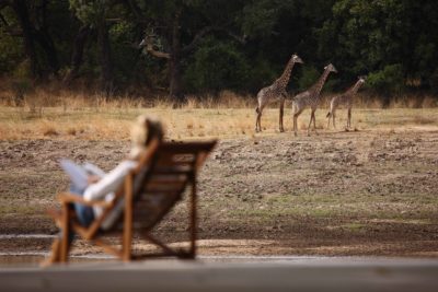 Cnizombo-lodge-deck-chair-Thornicrofts-giraffe-south-luangwa-national-park-zambia-norman-carr-safaris.jpg