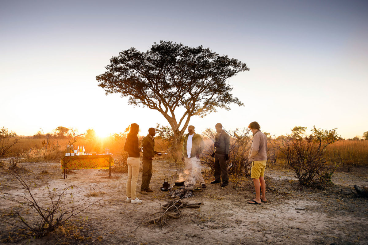 Ila-Safari-Lodge-Kafue-national-park-zambia-Green-SafarisIla-3-18-email.jpg