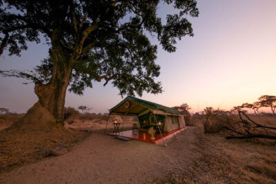Mdonya-old-river-Lodge-Ruaha-NationalparkTanzania-Pinto-Africa-Safari-7