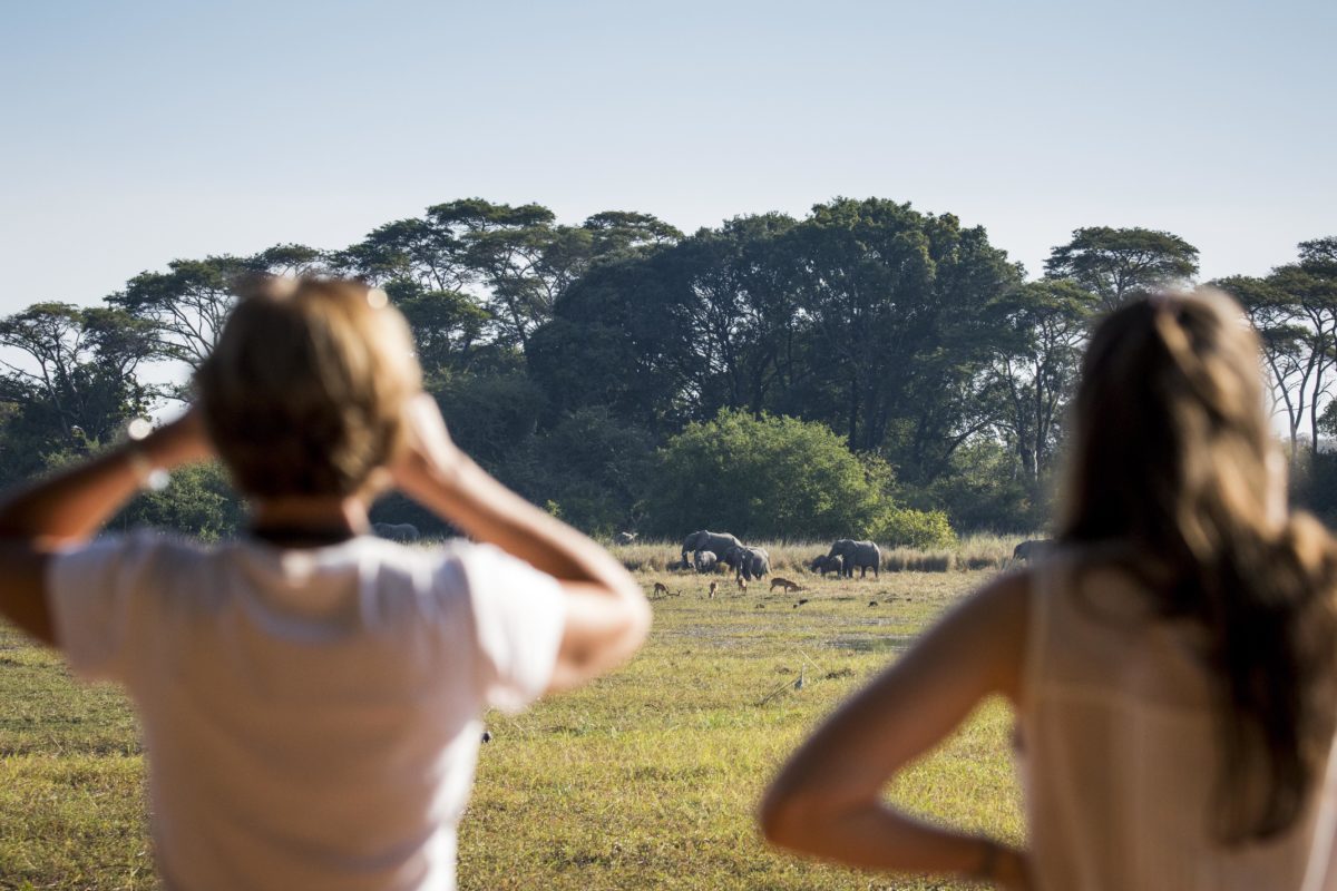 Musekese-Camp-Kafue-National-Park-Zambia-MSC41.jpg