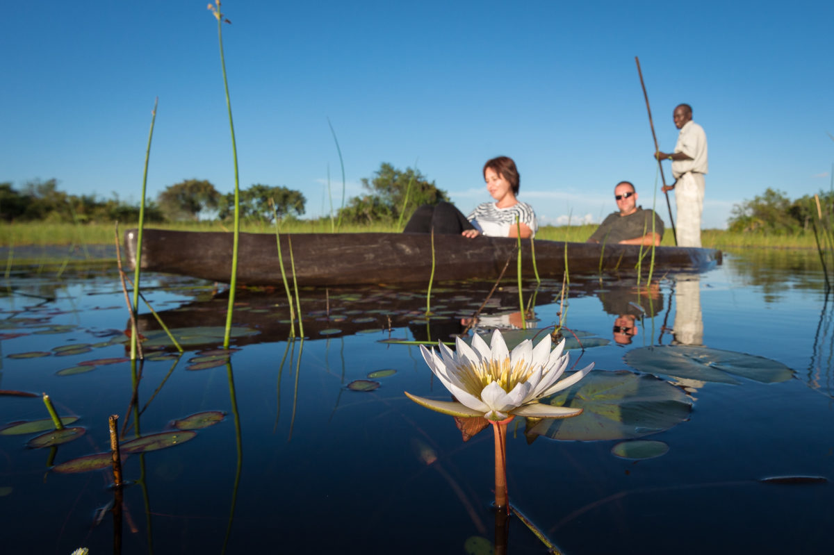 Pelo-Camp-Okavango-Delta-Botswana-14.jpg