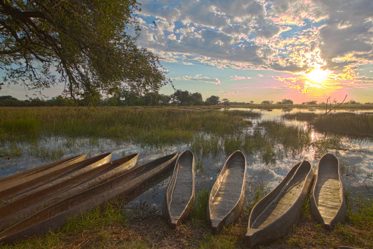 Pom-Pom-Okavango-Delta-Botswana-89.jpg