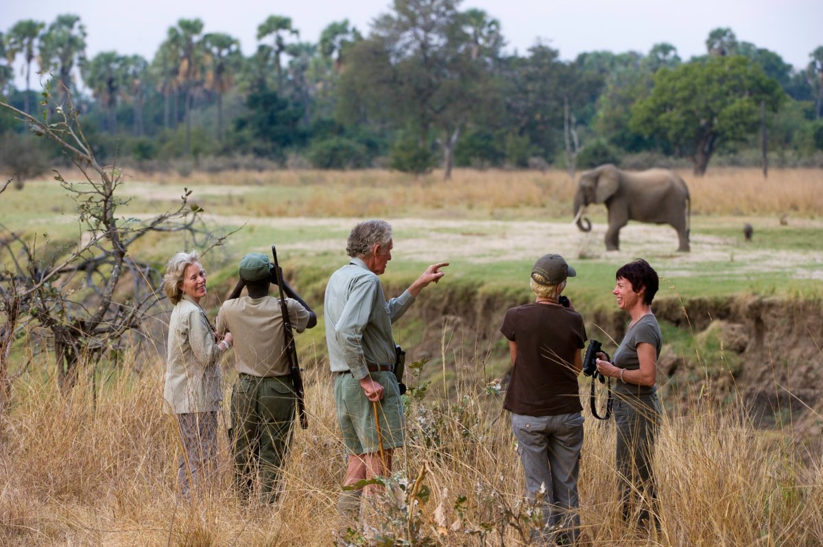 Walking-safaris-Bushcamp-company-south-luangwa-national-park-zambia