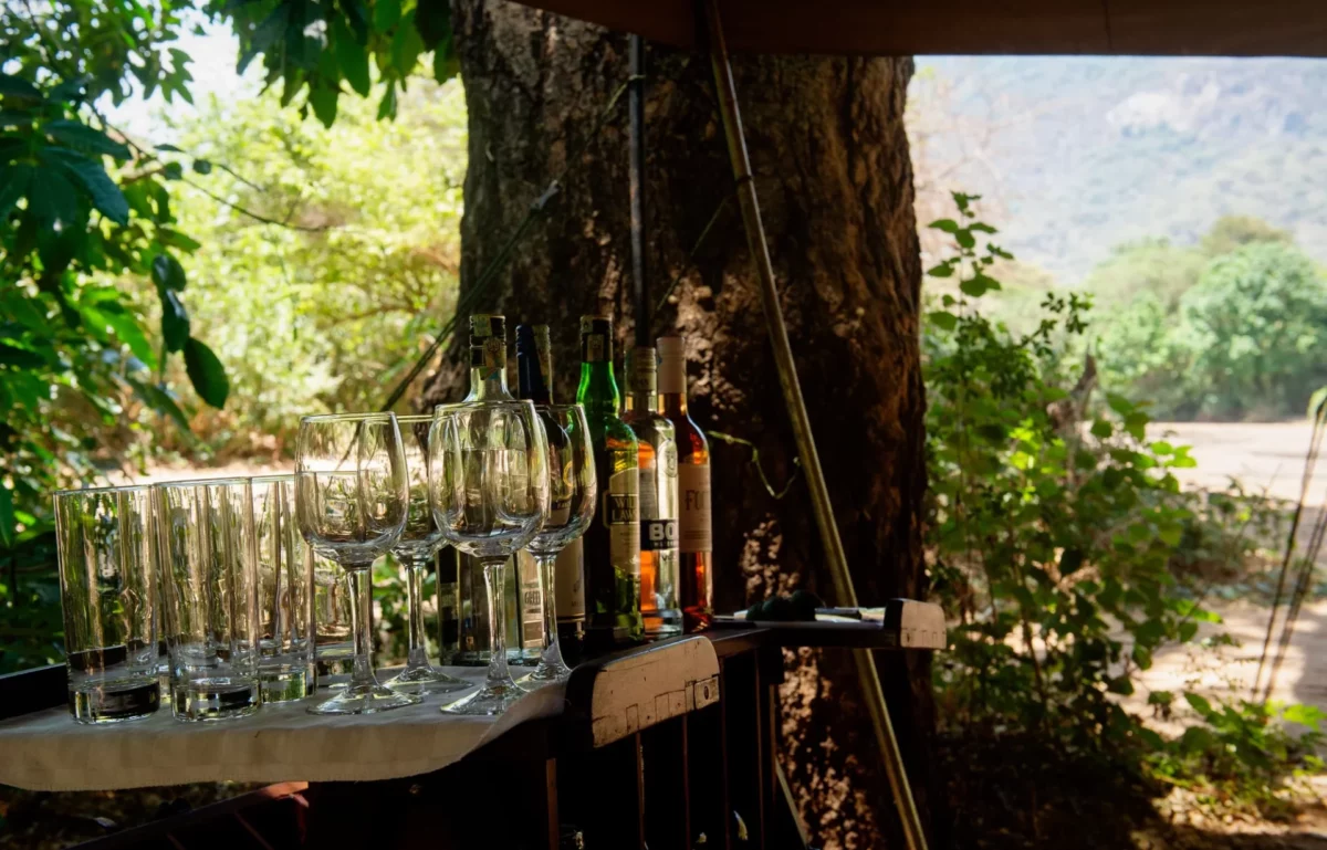csm_Wayo-Manyara-Green-Camp-Bar-Wayo-Africa-3370x2160-uvwxyz_0a526ad1f5.jpg