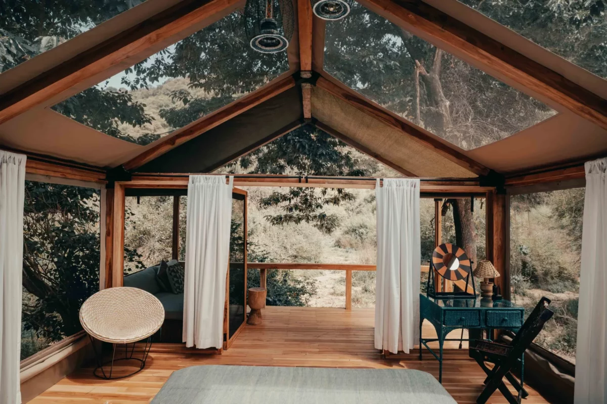 csm_Wayo-Manyara-Green-Camp-Blick-in-den-Busch-Malicky-Boaz-6000x4000-uvwxyz_d17a141e7e.jpg