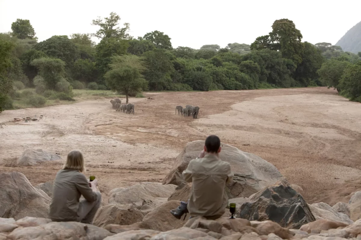 csm_Wayo-Manyara-Green-Camp-Elefantenbeobachtung-Wayo-Africa-3240x2160-uvwxyz_22a261b9cf.jpg