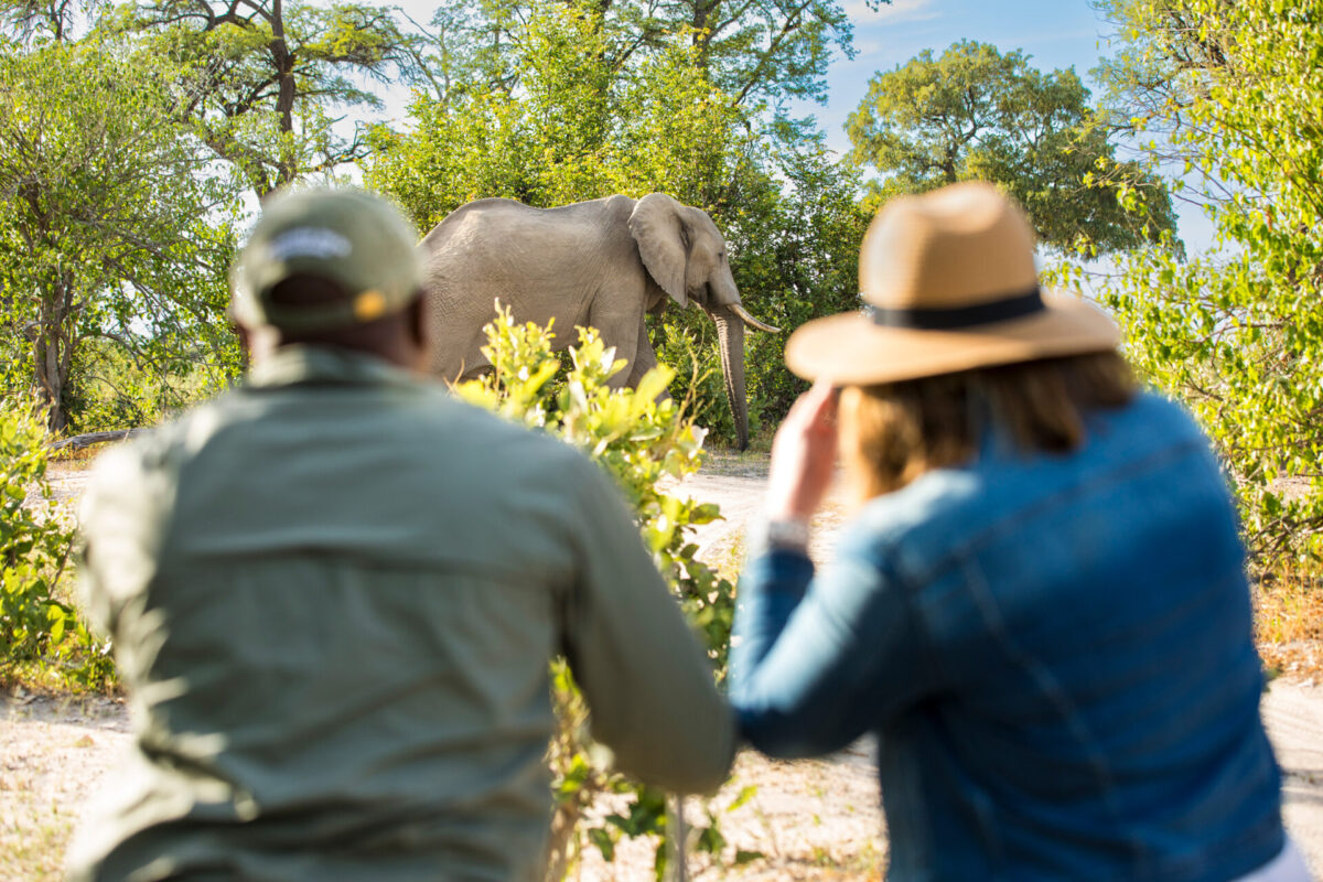 machaba-safaris-web-botswana-machaba-camp-gallery-experiences-wildlife