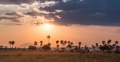 Kigelia Camp - Nomad Tanzania - Ruaha National Park