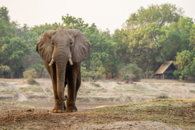 03102021-DSC04565-scaled