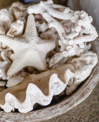 121369066_3849693998391842_1159768536779612544_n