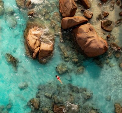 321486455_1794155560947482_1633721035030501699_n