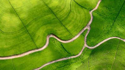 428844-photography-aerial-tea-plant-Rwanda