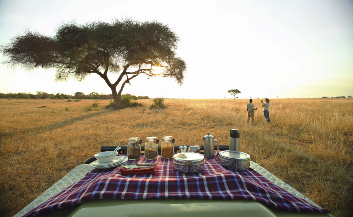 Serengeti-Reisen-Safaris-Pintoafrica.com-Tansania-Safari-Experten-5-afrika.jpg