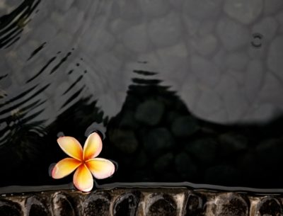 Rain drops over pond water