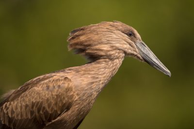 278624662_5038018766251541_861889256008939440_n