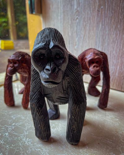 327241416_557649902971608_4920163031082112095_n