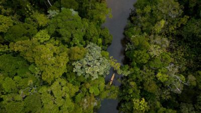 GeorgeVlad_DJI_0070-1