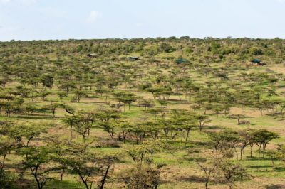 Kicheche Valley Camp-tent setting