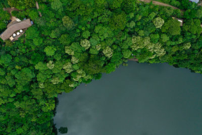 papaya-lake-lodge-view