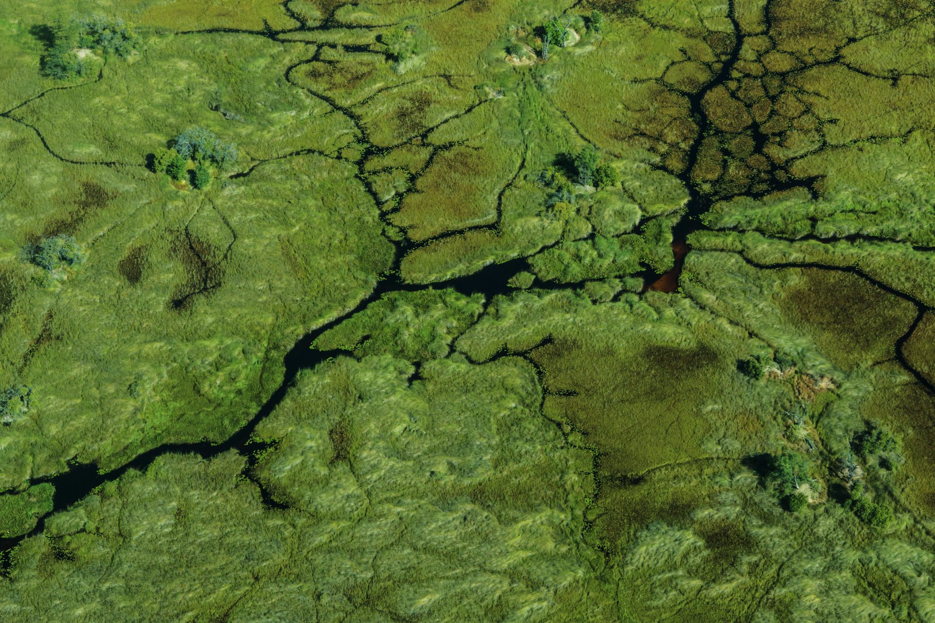 2022-great-plains-sitatunga03