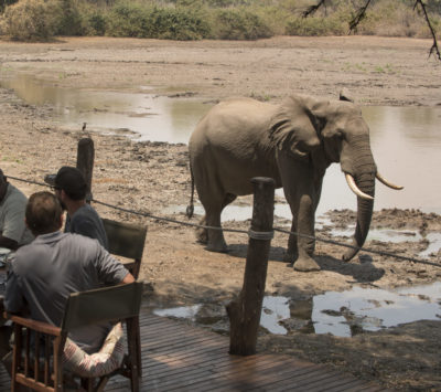 24.__kanga_camp_main_area1