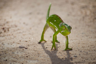 271480345_4286739691426420_5553935609949560698_n