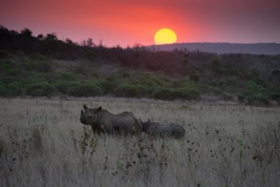 279849870_5436871623001236_9067943471785337524_n