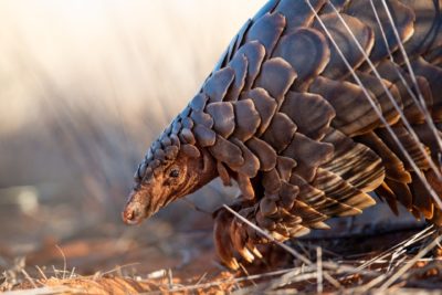 290130735_5217692428269165_2960793541511618834_n