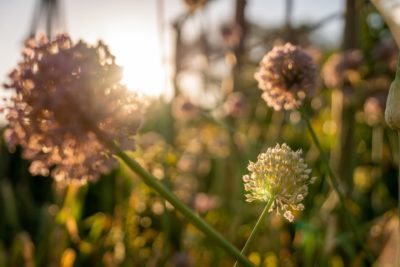 323224034_908630983469513_7760903207076095163_n