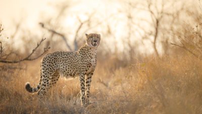 331301777_1046893706648805_1344400421153648774_n