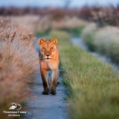 338868263_177969425049058_807929734984299009_n