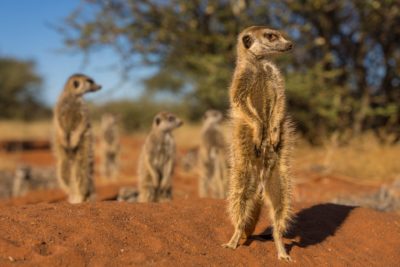 358575698_647193874105309_3469223212435362031_n