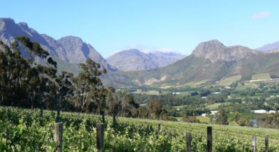 La-Petite-Ferme-3-edited-scaled