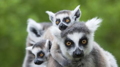 dee2f3b1a30f78da7f11ce09e4ec9746