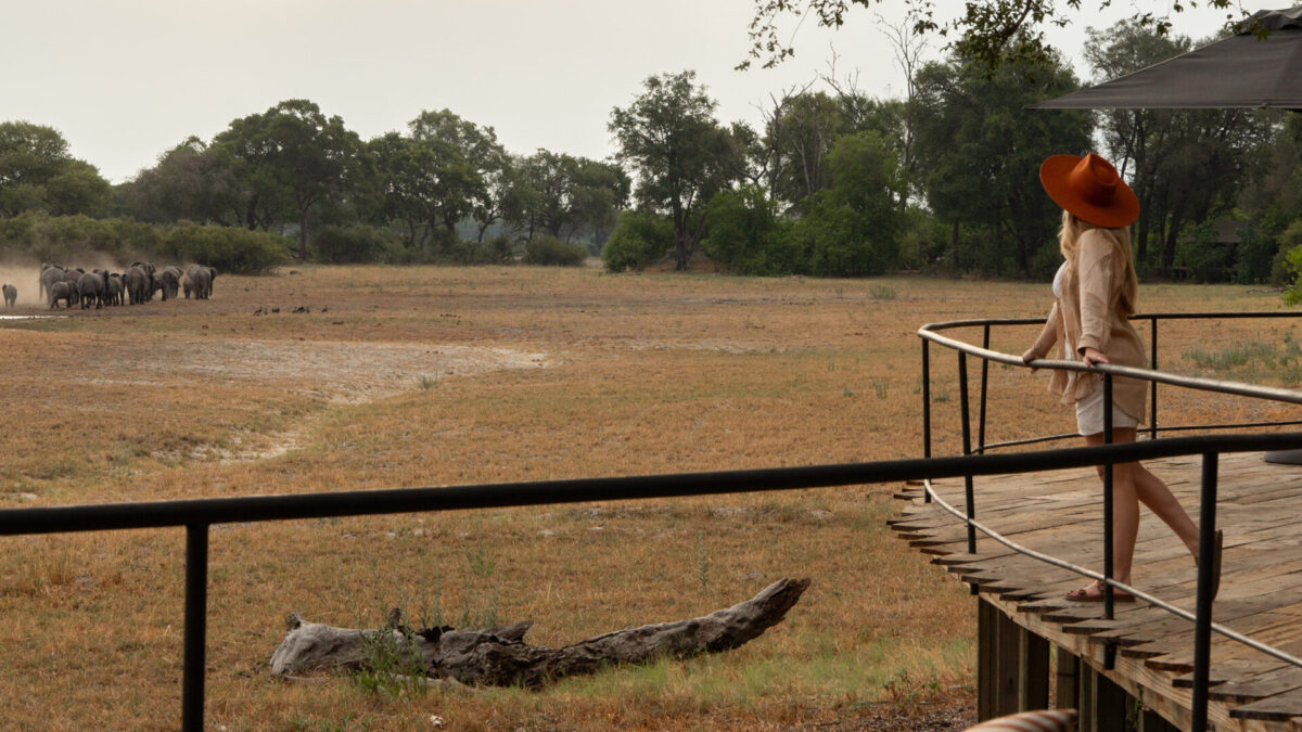 machaba-safaris-web-kiri-camp-gallery-activities-viewing-game-from-deck