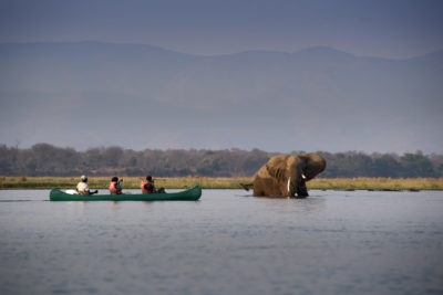 zambezi_expeditions_mana_pools_national_park_zimbabwe_safari_tented_camp_african_bush_camps_canoe_15