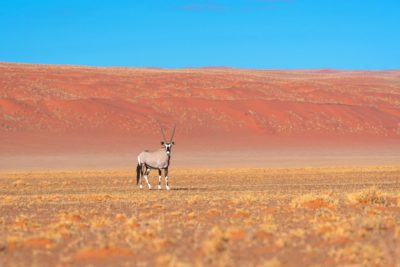 117728455_1671581882992085_5991927729499426647_n