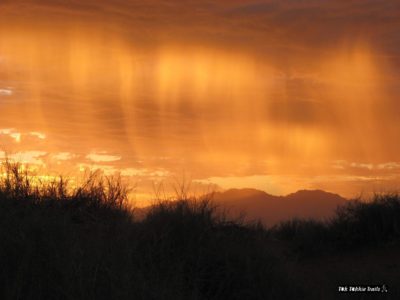 473444_334997193209048_909865640_o