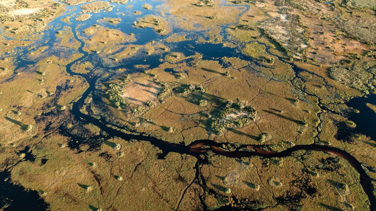 Dukes Camp_Dukes Camp_Okavango Delta Aerial View.jpg