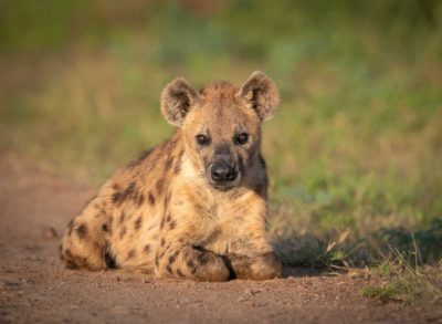 shawa_camp_april_2022-5283