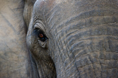 336791593_768324581478112_8025741245178224195_n