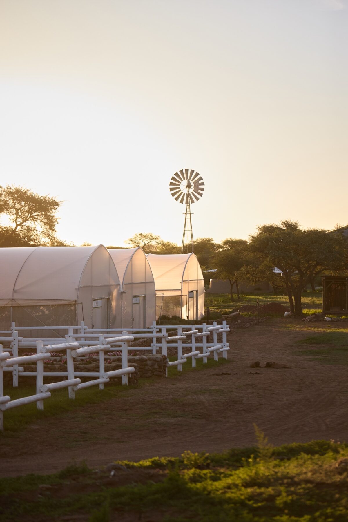 ©Gmundner-Lodge-_-Bazzoka-Creative_Lodge_44-1