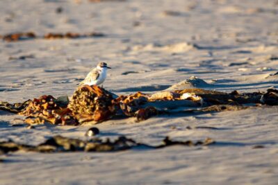 347596914_770501321742182_5512717156334230310_n