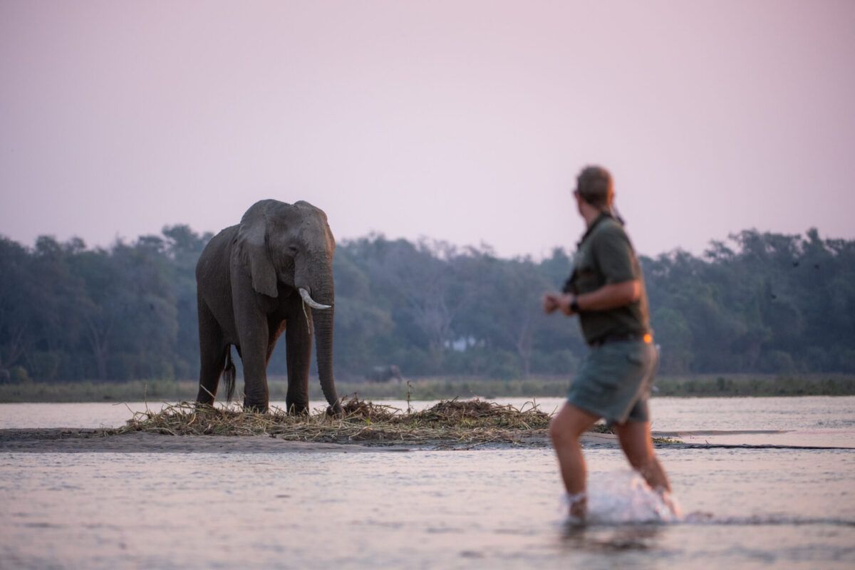 Londolozi