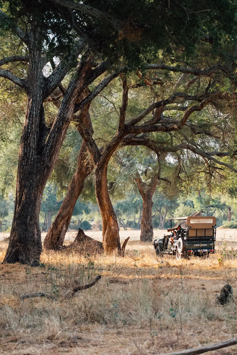 2023-07-kutali-camp-classic-zambia-by-marion-payr-157