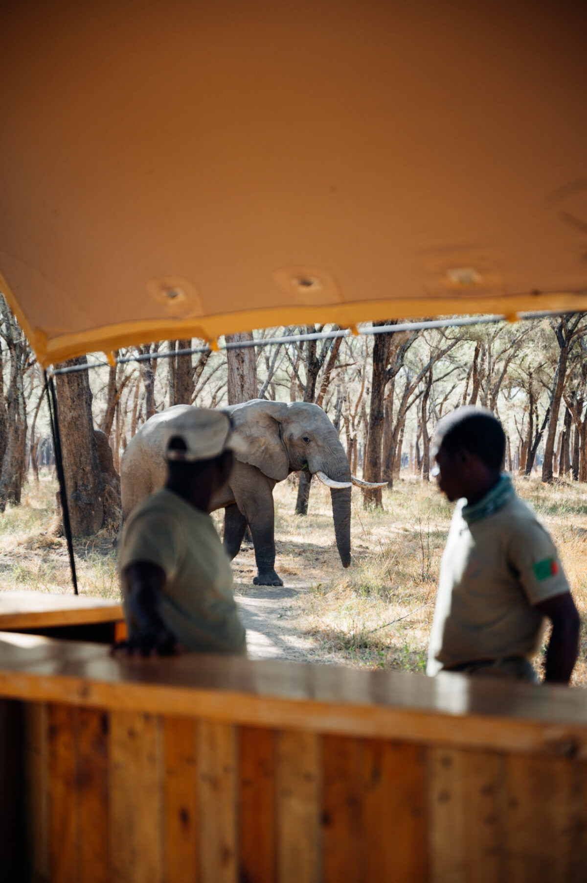 2023-07-kutali-camp-classic-zambia-by-marion-payr-633