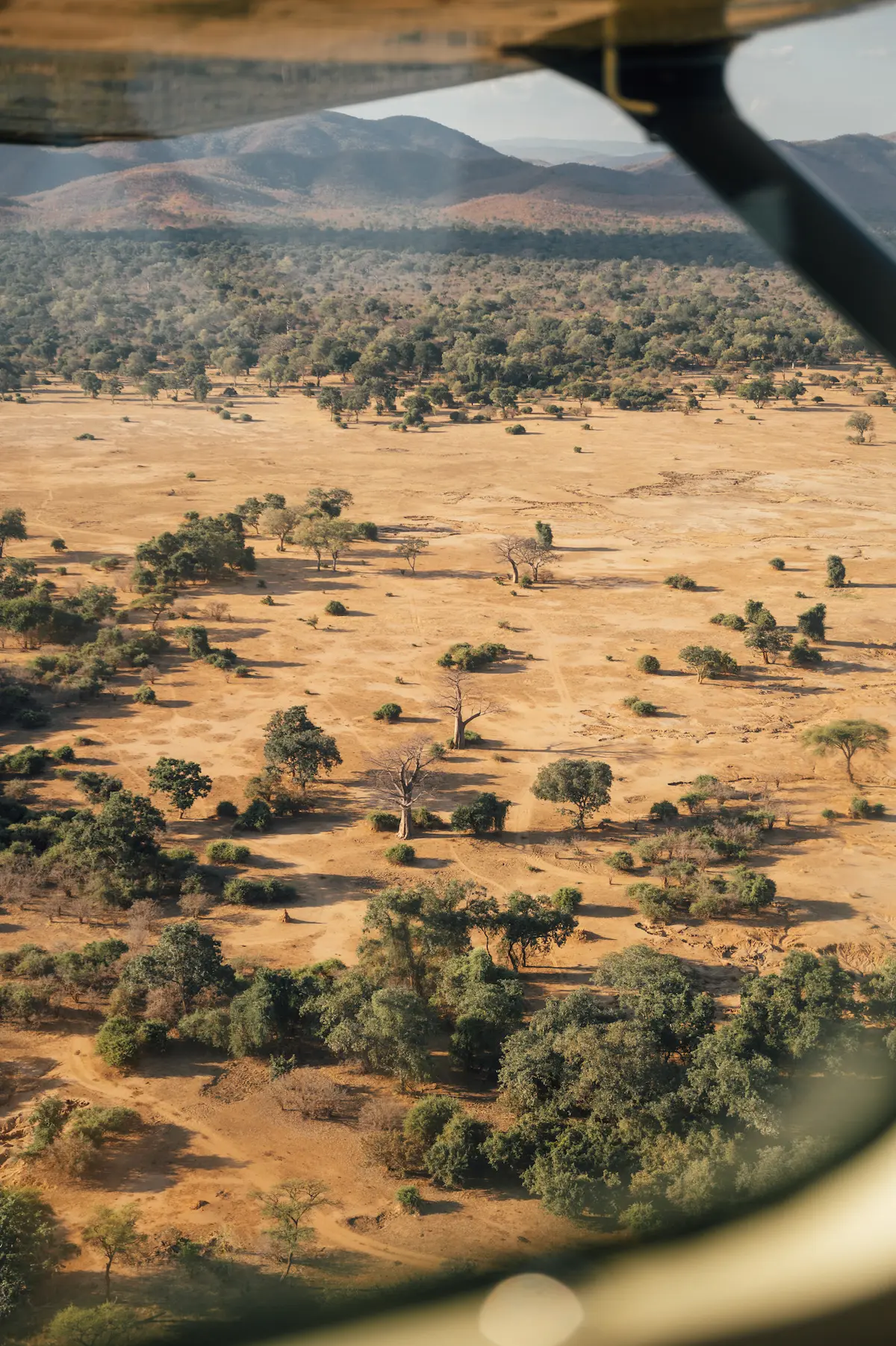 Fotoreise Sambia 2026