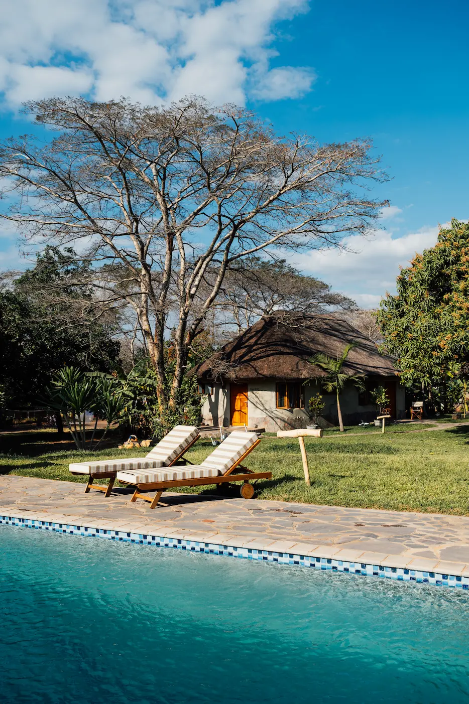 2023-07-wild-dogs-lodge-lusaka-zambia-by-marion-payr-5