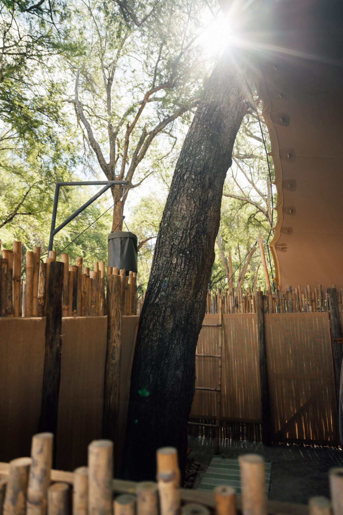 2025-05-kutali-lower-zambezi-zambia-by-marion-payr-15