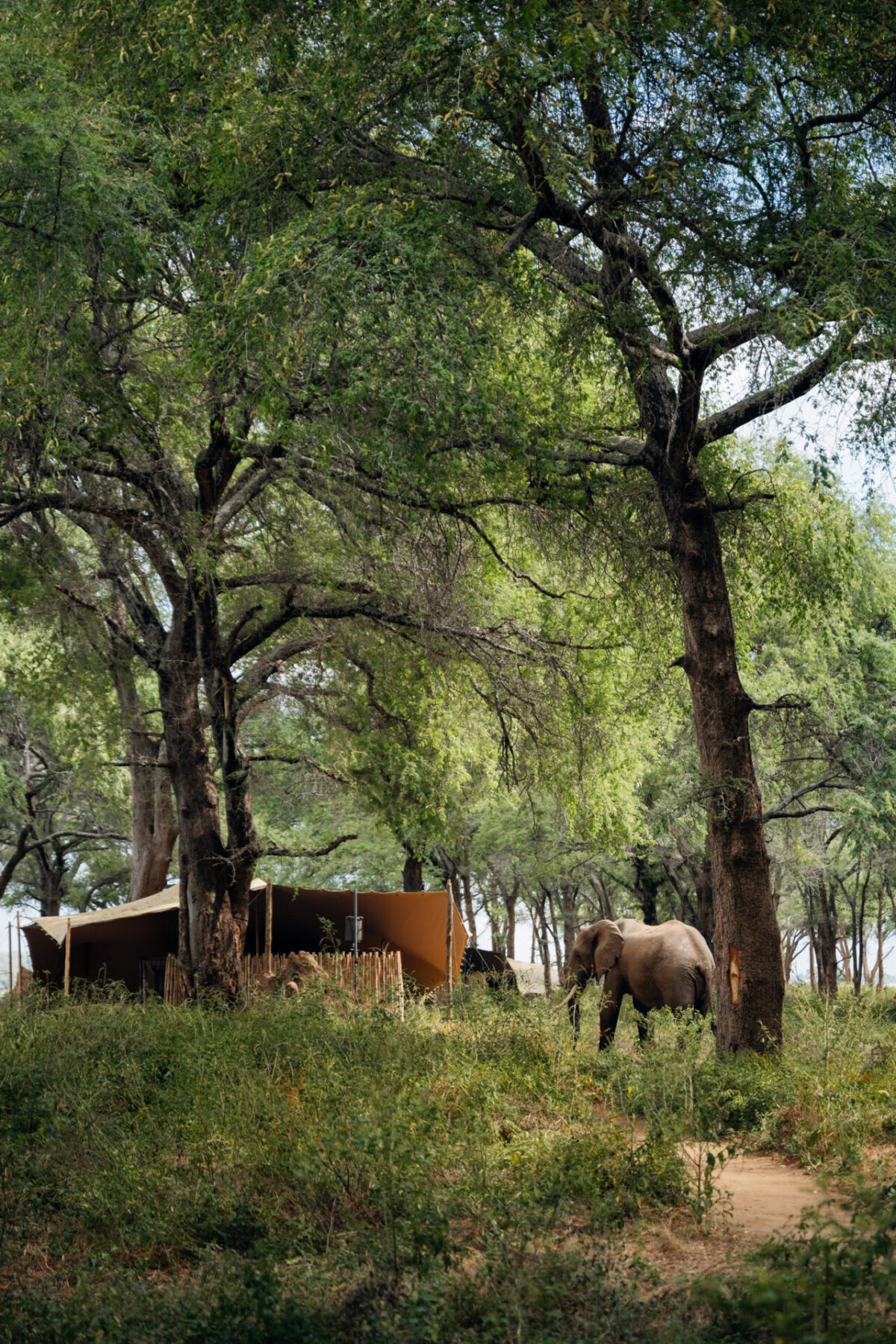 2025-05-kutali-lower-zambezi-zambia-by-marion-payr-8